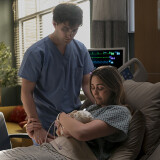 3142178_0053bc-87f4e737503eae55